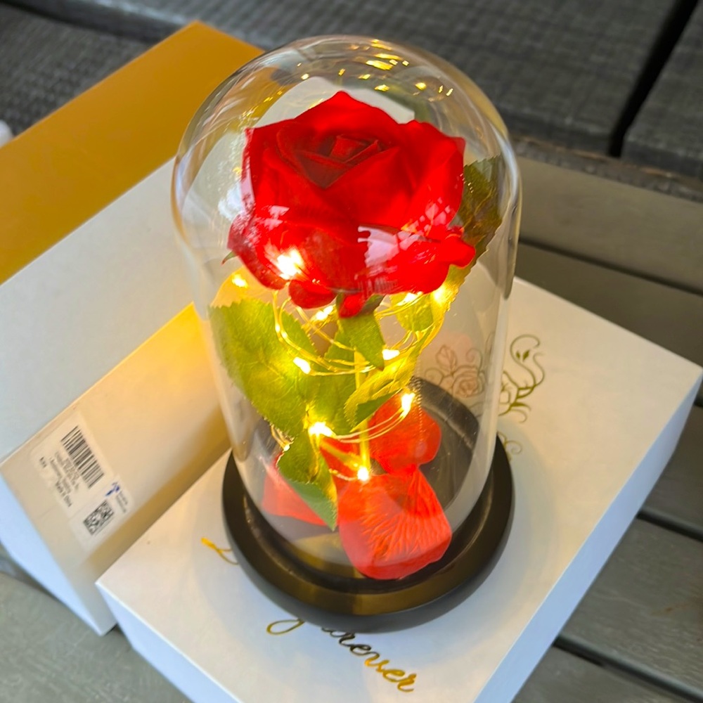 Love Forever Red Rose in Glass Dome (Beauty and the Beast Rose resemblance)